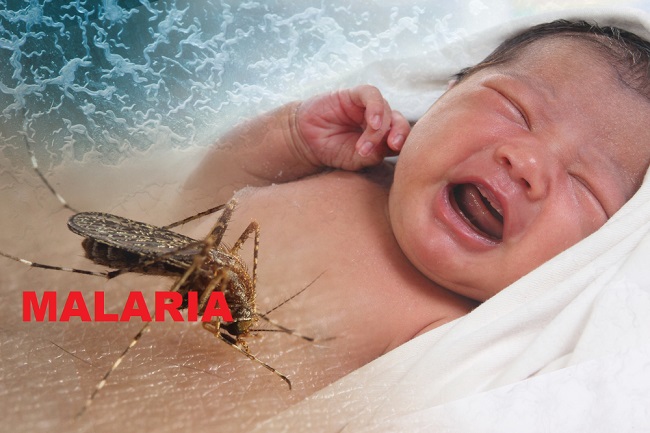 Health issue concept, image of crying baby bitten by Aedes Aegypti mosquito as Zika Virus carrier