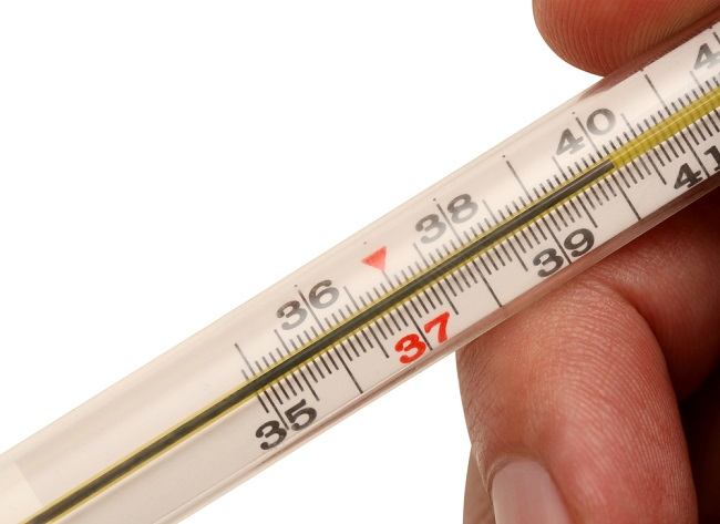 Recognize the Difference between Typhus and DHF from Symptoms