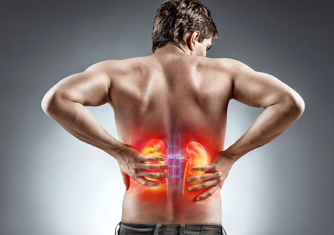 Causes of Kidney Failure and Prevention