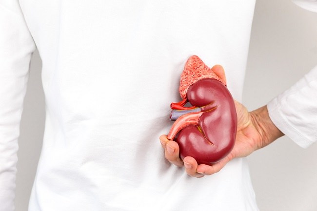 Diet untuk Penderita Gagal Ginjal - Alodokter