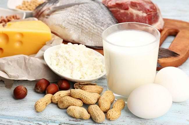 Pilihan Makanan Yang Mengandung Protein Tinggi Alodokter 8230