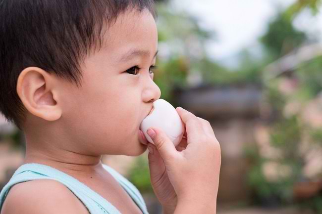 Telur Ayam, Telur Puyuh, atau Telur Bebek, Mana yang Terbaik untuk Bayi?