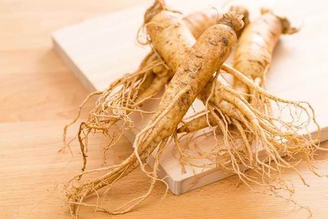Fakta di Balik Khasiat Ginseng - Alodokter