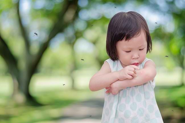 Cara Aman dan Efektif Melindungi Si Kecil dari Gigitan Nyamuk - Alodokter