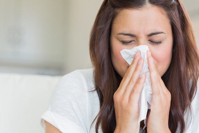 papiloma hidung adalah