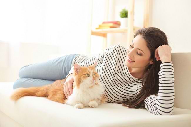 Waspada Bahaya Bulu Kucing - Alodokter