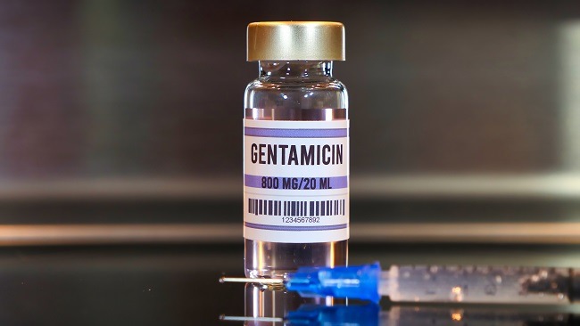 alodokter-gentamicin