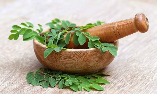 Daun moringa