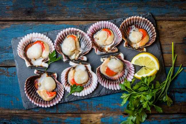 Inilah 4 Manfaat Scallop dan Cara Memasaknya - Alodokter