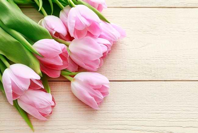 5 Manfaat Tulip untuk Kesehatan yang Jarang Diketahui - Alodokter