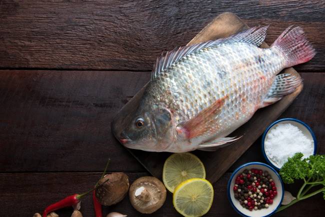 Ini Manfaat dan Bahaya Ikan Mujair yang Perlu Anda Ketahui - Alodokter