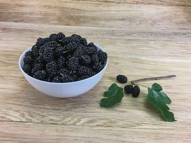 These are herbal plants that can increase endurance