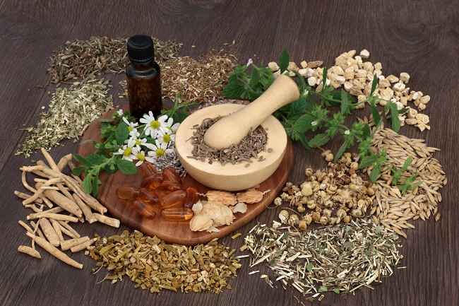 Mengoptimalkan Daya Tahan Tubuh dengan Obat Herbal Alami: Panduan Lengkap Menuju Kesehatan yang Prima