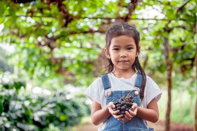 6 Manfaat Buah Anggur untuk Kesehatan Anak - Alodokter