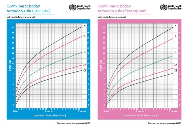 Mewaspadai Berat Badan Kurang pada Si Kecil - Alodokter