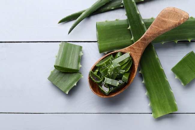 8 Manfaat Aloe Vera untuk Kesehatan dan Kecantikan - Alodokter