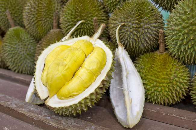 Manfaat Durian bagi Kesehatan Tubuh