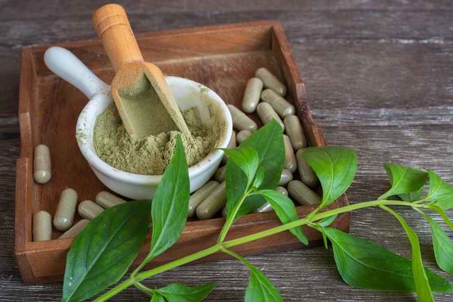 4 Benefits of Sambiloto Leaves for Skin that are a pity to miss