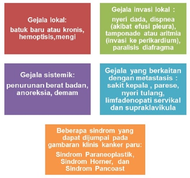Sumber: Openi, 2014.