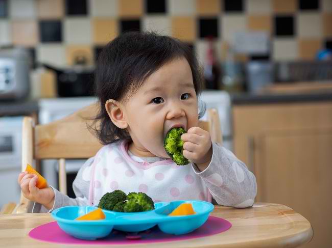 5 Khasiat Brokoli untuk Kesehatan Anak - Alodokter