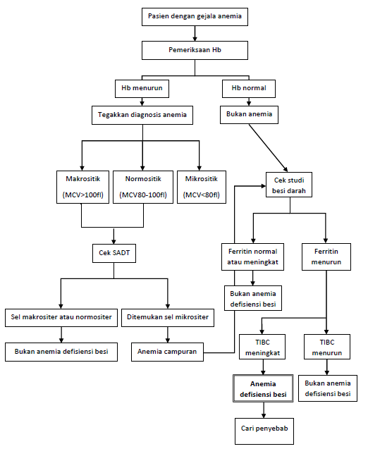 Diagnosis Anemia Defisiensi Besi Alomedika