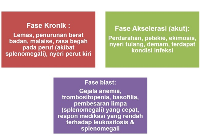 Penyebab leukemia