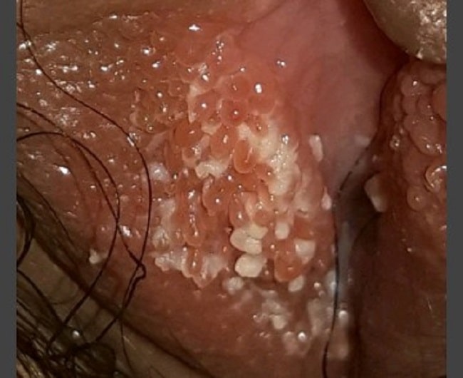 Xonim oz xonasiga ofitsiantni buyurdi va uni sikdi. Quyonning jinsiy pozitsiyasi