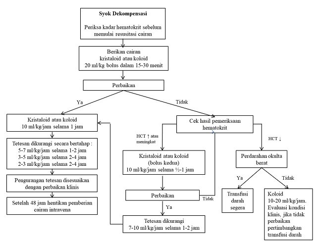 Gambar 3. Bagan penatalaksanaan demam dengue dengan syok dekompensasi pada infant sesuai pedoman WHO