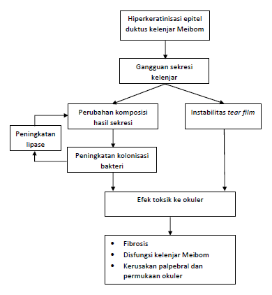 Patofisiologi blefaritis posterior. Sumber: karya pribadi penulis.