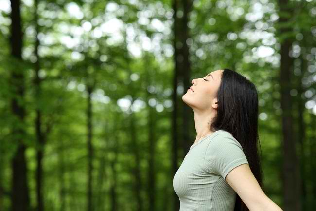 Stress Kerja? 7 Strategi untuk Tetap Waras dan Produktif 2 Memahami Kesehatan Mental dan Cara Menjaganya - Alodokter