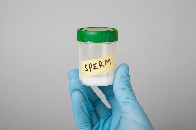 Rohiba mushuk surati