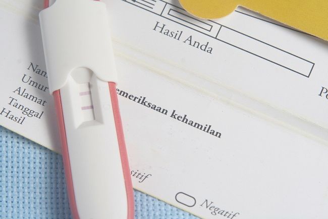 Persiapan Menjalani Proses Bayi Tabung dengan Sukses - Alodokter