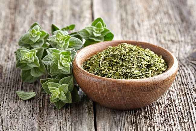 Image of Oregano