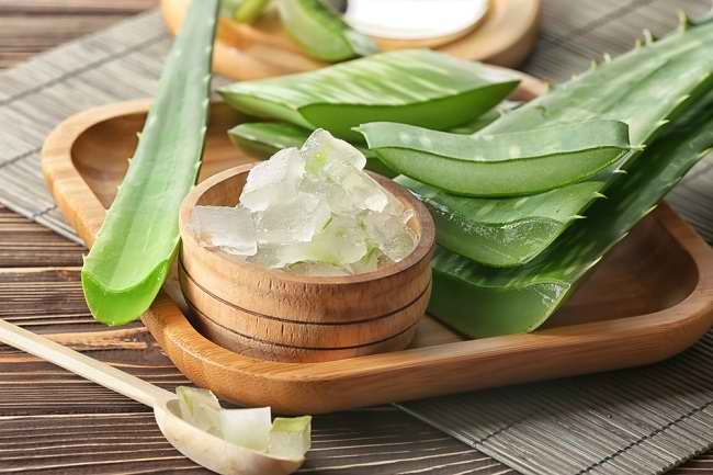 Get to know the benefits of aloe vera for acne and how to use it