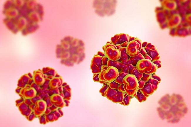 Hepatitis E - patofisiologi, diagnosis, penatalaksanaan - Alomedika