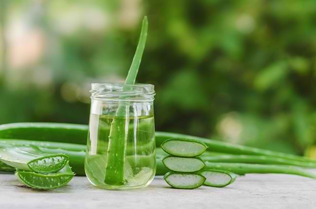 Facts About Using Aloe Vera for Stomach Acid
