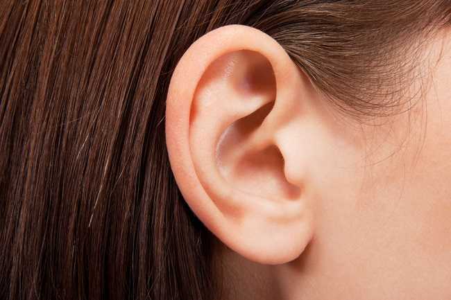 Kenali Fungsi Saluran Eustachius pada Telinga dan Gangguannya - Alodokter