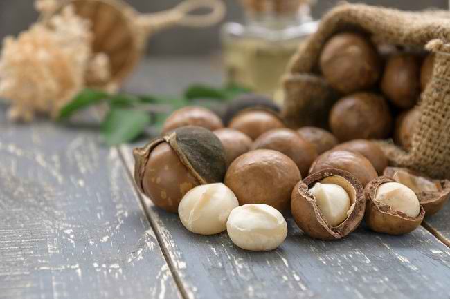 4 Manfaat Kacang Macadamia bagi Kesehatan - Alodokter