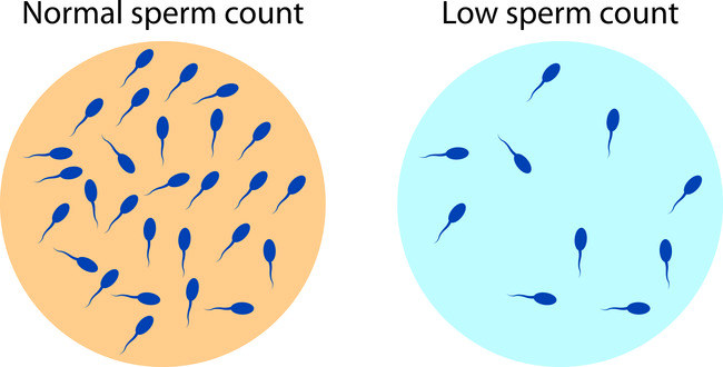 Hasharotlar pornosi videosi: Aka opaning bokiraligini oladi Men bir kampirning tukli mushukida keldim