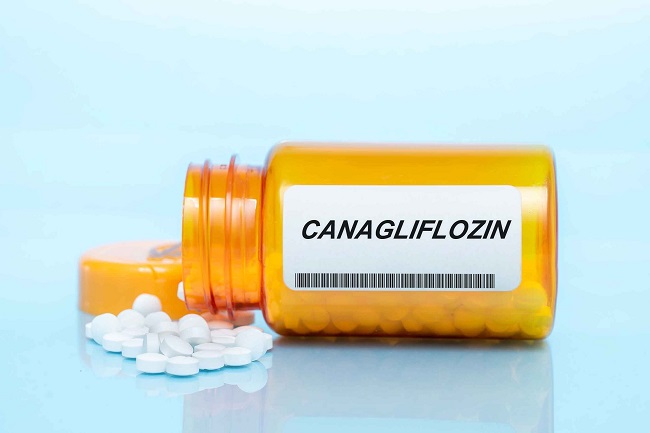 Canagliflozin Manfaat Dosis Dan Efek Samping Alodokter canagliflozin-manfaat-dosis-dan-efek-samping-alodokter