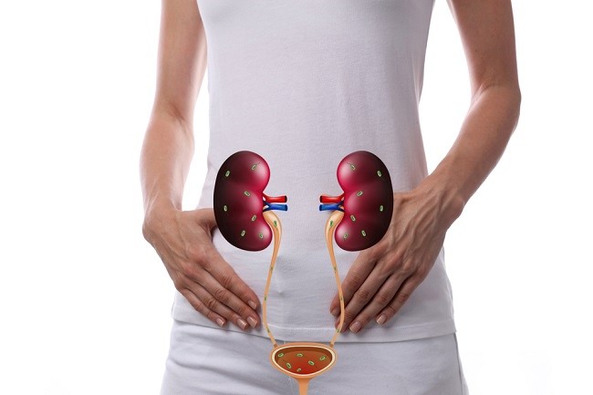 8 Characteristics of a Severe Urinary Tract Infection