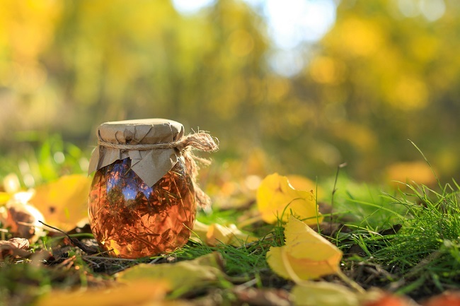 7 Benefits of Forest Honey for Health