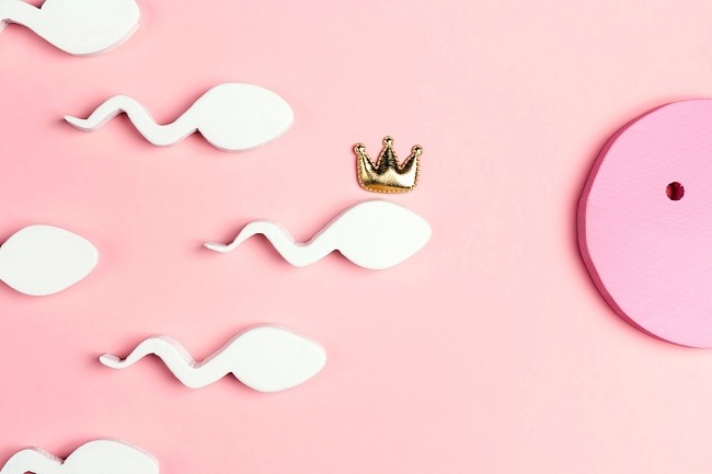 Qizlar erkaklarni qollari bilan silkitadi