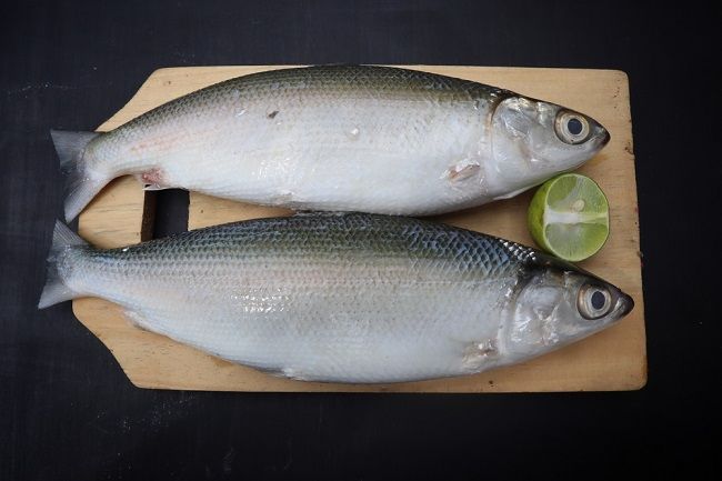 7 Manfaat Ikan Bandeng untuk MPASI - Alodokter