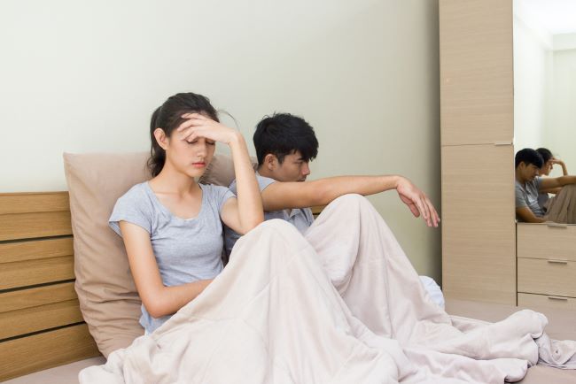 Dik mushuk videosiga kiradi