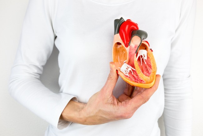Ruang Jantung, Ketahui Fungsi dan Gangguan yang Dapat Mempengaruhinya - Alodokter