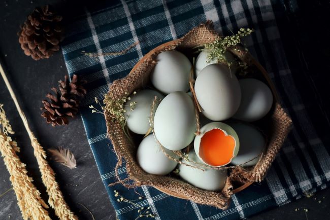 Telur Apa yang Paling Bergizi? Yuk, Kenali Pilihan Telur dengan Nutrisi Terbaik