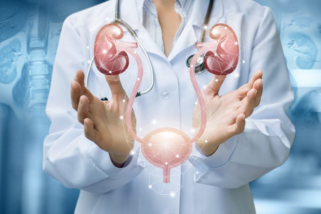 Ureter, Kenali Fungsi dan Gangguan yang Bisa Terjadi - Alodokter