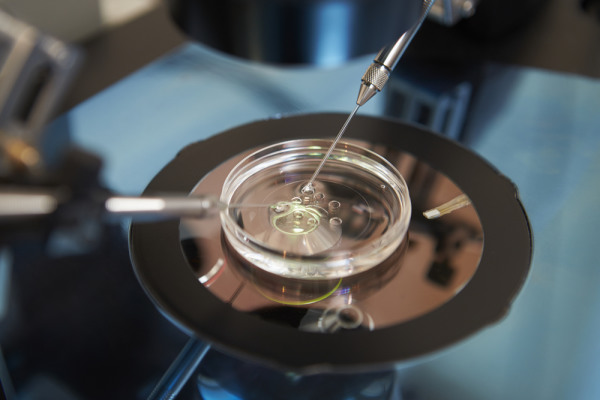 IVF