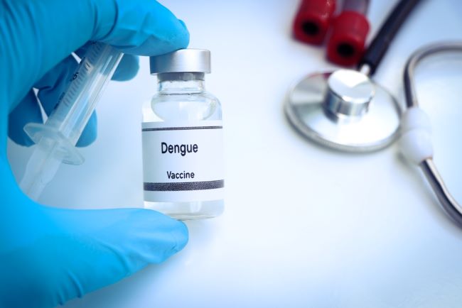 Manfaat Vaksin Demam Berdarah untuk Orang dengan Komorbiditas - Alodokter
